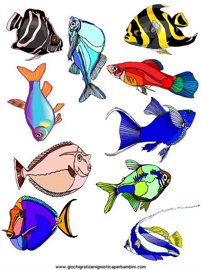 Pesci schede didattiche impara a scrivere le lettere for Immagini di pesci da colorare per bambini