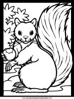 disegni_da_colorare_animali/animali_bosco/color-squirrel.JPG