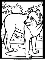 disegni_da_colorare_animali/animali_bosco/color-wolf.JPG