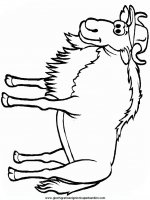 disegni_da_colorare_animali/animali_fattoria/wildebeest.JPG