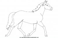 disegni_da_colorare_animali/cavallo_cavalli/cavallo_cavalli_36.JPG