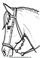 disegni_da_colorare_animali/cavallo_cavalli/cavallo_cavalli_37.JPG