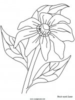 disegni_da_colorare_natura/fiore_fiori/fiori_77.JPG