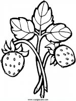 disegni_da_colorare_natura/frutta_frutti/24.JPG