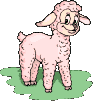 pecorella