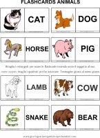 didattica_inglese/flashcards_colorate/animals.jpg