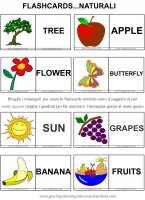 didattica_inglese/flashcards_colorate/natur_fruits_colored.jpg