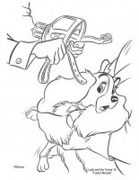 disegni_da_colorare/lilli_e_il_vagabondo/lilli_a21.jpg
