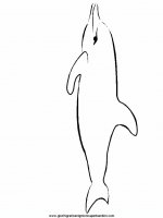 disegni_da_colorare_animali/animali_acquatici/delfino_1.JPG
