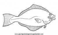 disegni_da_colorare_animali/animali_acquatici/halibut.JPG