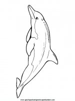 disegni_da_colorare_animali/animali_acquatici/pesci_05.JPG