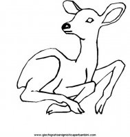 disegni_da_colorare_animali/animali_bosco/cerbiatto_19650.JPG