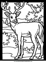 disegni_da_colorare_animali/animali_bosco/color-deer2.JPG