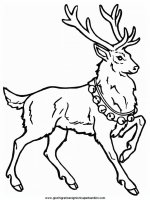 disegni_da_colorare_animali/animali_bosco/deer5.JPG