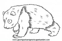 disegni_da_colorare_animali/animali_bosco/panda9650.JPG