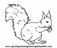 disegni_da_colorare_animali/animali_bosco/scoiattolo39650.JPG