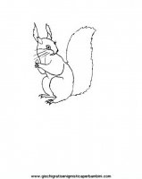 disegni_da_colorare_animali/animali_bosco/scoiattolo_19650.JPG