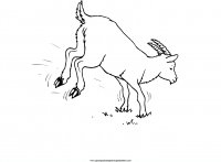 disegni_da_colorare_animali/animali_fattoria/21.JPG