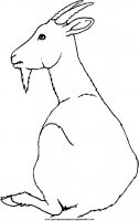 disegni_da_colorare_animali/animali_fattoria/28.JPG