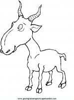 disegni_da_colorare_animali/animali_fattoria/31.JPG