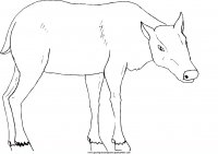 disegni_da_colorare_animali/animali_fattoria/32.JPG