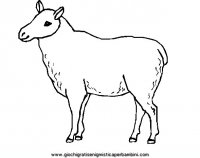 disegni_da_colorare_animali/animali_fattoria/33.JPG