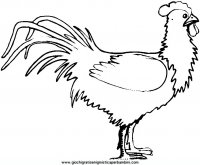 disegni_da_colorare_animali/animali_fattoria/34.JPG