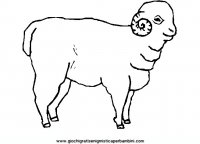 disegni_da_colorare_animali/animali_fattoria/35.JPG