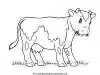 disegni_da_colorare_animali/animali_fattoria/mucche_14.JPG