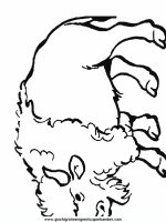 disegni_da_colorare_animali/animali_fattoria/mucche_17.JPG