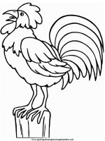 disegni_da_colorare_animali/animali_fattoria/rooster.JPG
