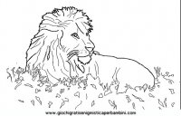 disegni_da_colorare_animali/animali_savana/animali_savana_10.JPG