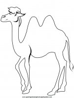 disegni_da_colorare_animali/cammello_cammelli/camel3.JPG