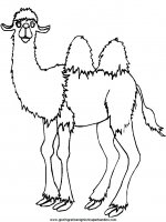 disegni_da_colorare_animali/cammello_cammelli/camel4.JPG