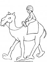 disegni_da_colorare_animali/cammello_cammelli/camel5.JPG