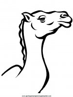 disegni_da_colorare_animali/cammello_cammelli/camel6.JPG