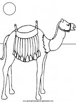 disegni_da_colorare_animali/cammello_cammelli/camel7.JPG