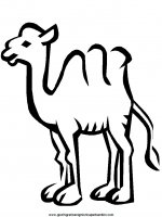 disegni_da_colorare_animali/cammello_cammelli/camel8.JPG