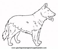 disegni_da_colorare_animali/cane_cani/cane_c0017.JPG