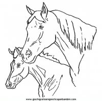 disegni_da_colorare_animali/cavallo_cavalli/cavallo_cavalli_26.JPG