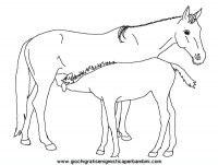 disegni_da_colorare_animali/cavallo_cavalli/cavallo_cavalli_3.JPG