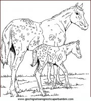 disegni_da_colorare_animali/cavallo_cavalli/cavallo_cavalli_31.JPG