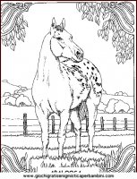 disegni_da_colorare_animali/cavallo_cavalli/cavallo_cavalli_39.JPG