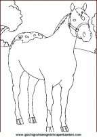 disegni_da_colorare_animali/cavallo_cavalli/cavallo_cavalli_43.JPG