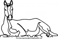 disegni_da_colorare_animali/cavallo_cavalli/cavallo_cavalli_50.JPG