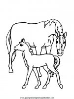 disegni_da_colorare_animali/cavallo_cavalli/cavallo_cavalli_55.JPG