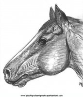 disegni_da_colorare_animali/cavallo_cavalli/cavallo_cavalli_67.JPG