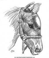 disegni_da_colorare_animali/cavallo_cavalli/cavallo_cavalli_69.JPG