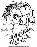 disegni_da_colorare_animali/cavallo_cavalli/cavallo_cavalli_7.JPG