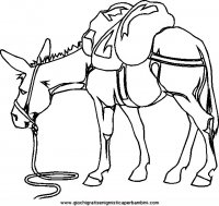 disegni_da_colorare_animali/cavallo_cavalli/cavallo_cavalli_70.JPG
